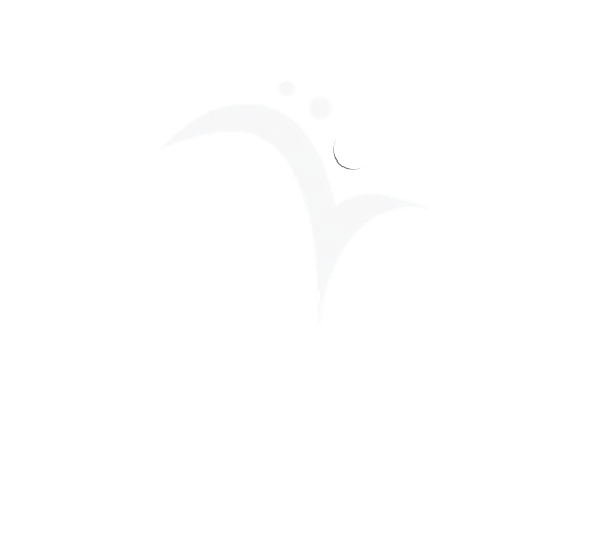 Vitall co
